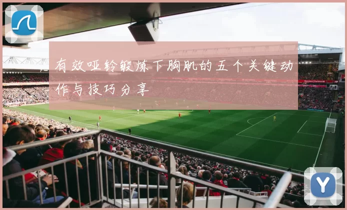 有效哑铃锻炼下胸肌的五个关键动作与技巧分享